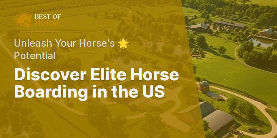 Discover Elite Horse Boarding in the US - Unleash Your Horse's π Potential