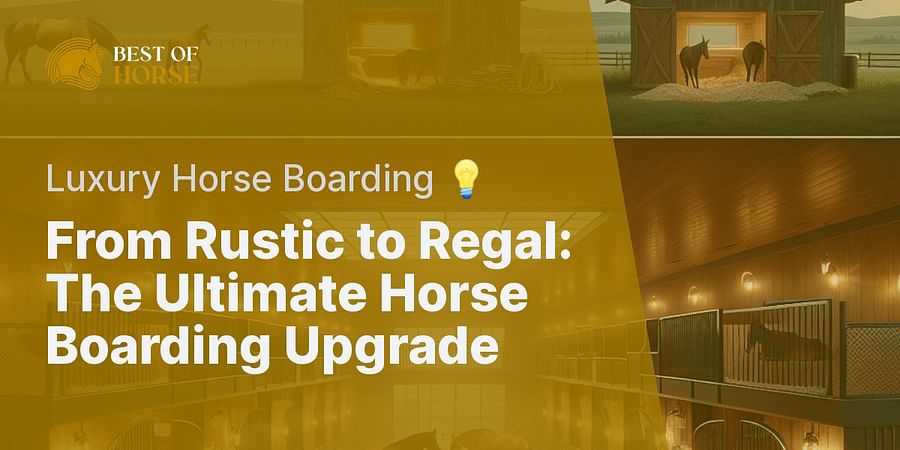From Rustic to Regal: The Ultimate Horse Boarding Upgrade - Luxury Horse Boarding π‘