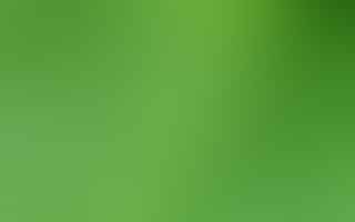 What Does 'Green Broke' Mean in Equestrianism?